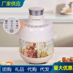 申花全自动和面机全自动和面机厂家直销小型家用多用途揉面机