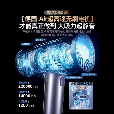 Tozsoranlar, small car dual-use handheld vacuum