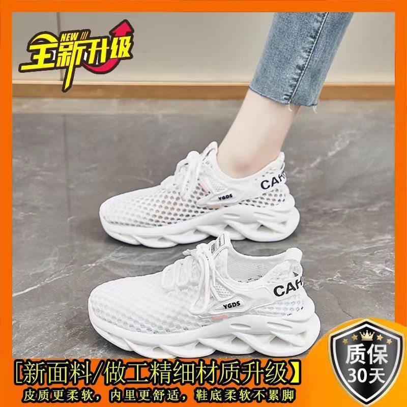 248 네트-화이트