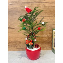 Ůɼɼ}QƽBkҿ͏dbGֲ