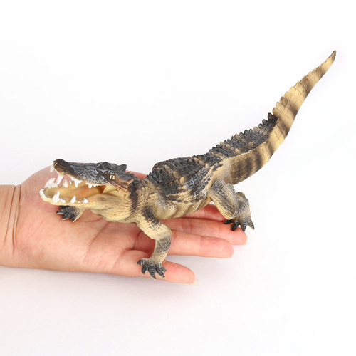Children's simulation model amphibian crocodile toy Nile crocodile wild boar crocodile alligator wild animal model