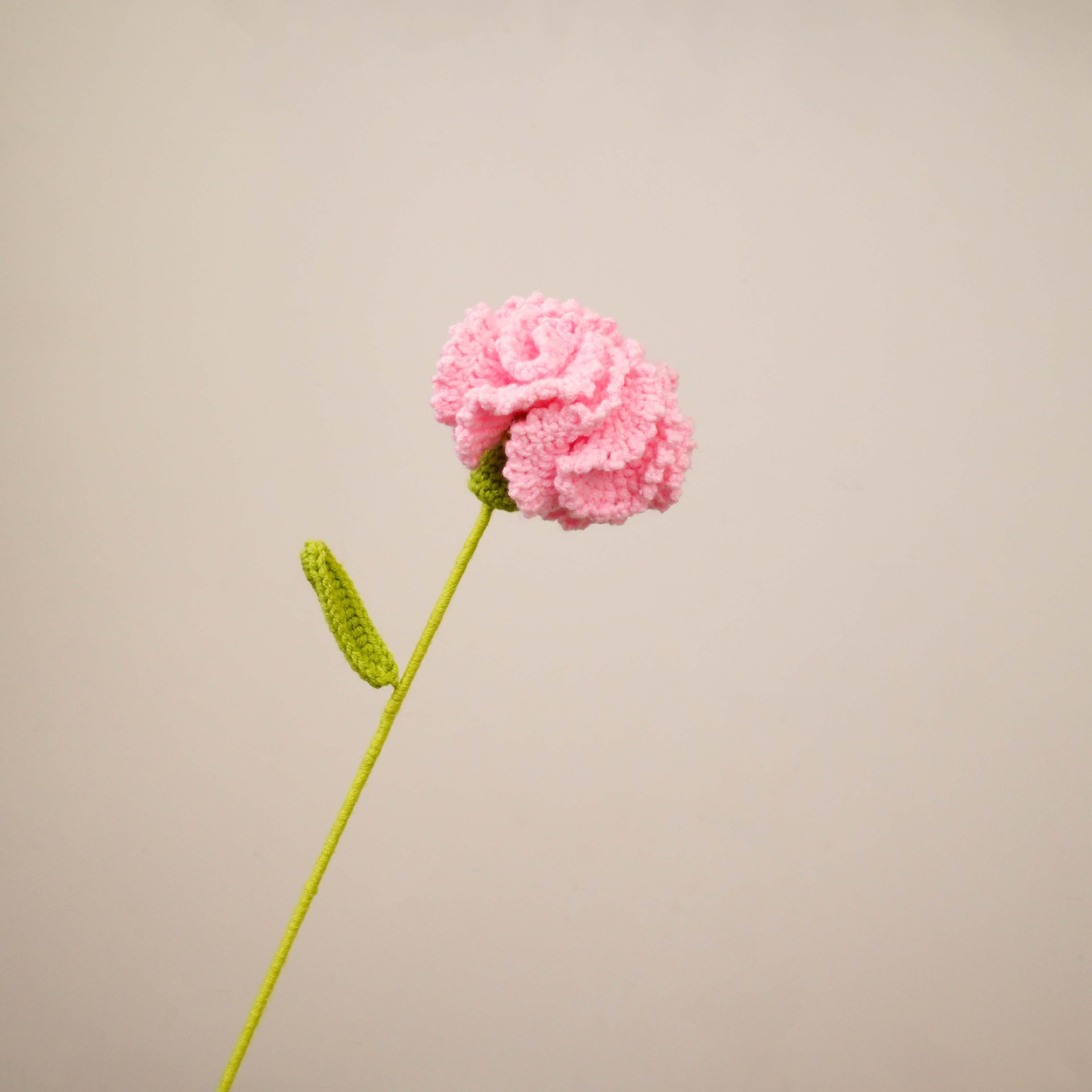 카네이션(핑크)