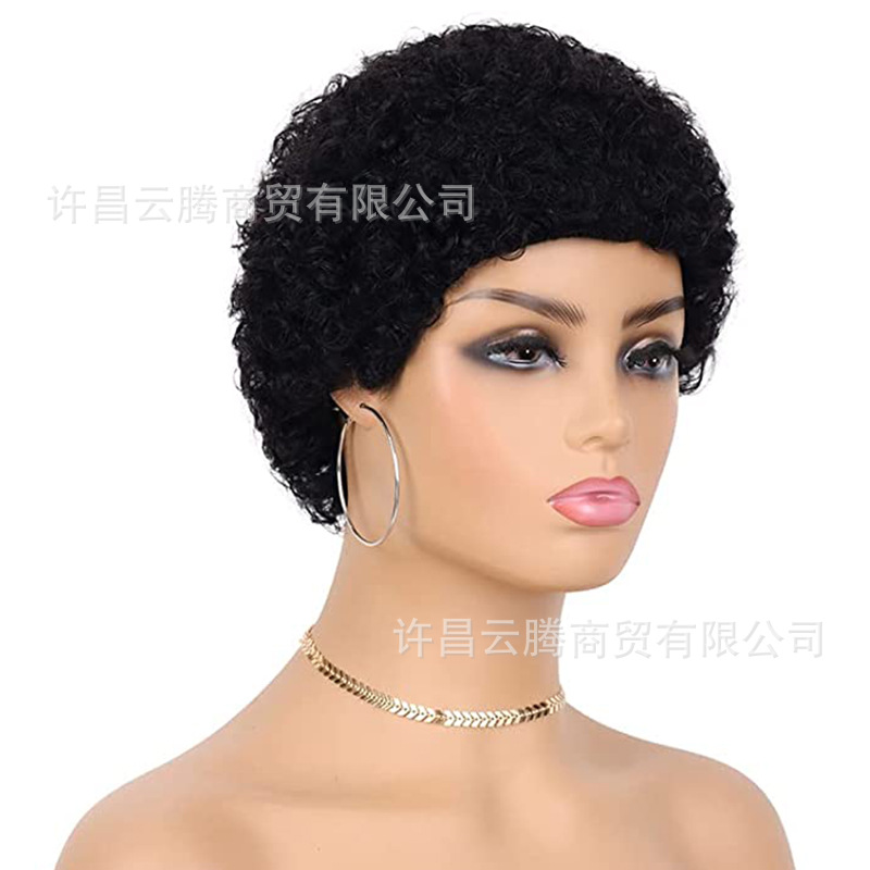 Cross-border Explosions Africa Full Mechanism Short Real Hair Small Roll Wig