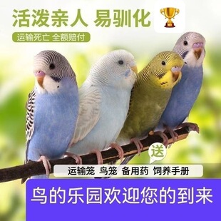 �W�^��Ƥ녰��W�^���P�W�^���PС�B�ʹ�Y���ɷ�ֳ���^�W�^����