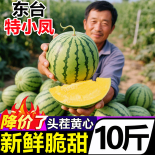 ���K�|̨��С�P�S�ı�������Ϯ������rˮ����˺���������S������