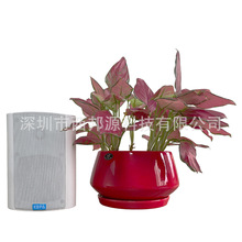 ȫ�lͬ�S�ڒ�P������|�����V������������� ���h��������