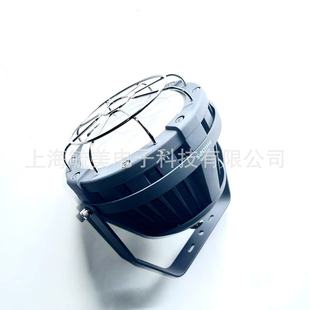 Philips LED platform explosion-proof lamp BY950P LED30 L-B/CW LG