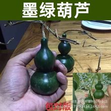 ��Ʒ������J�N�����ī�G������Сƽ�׷���ī�G���J�N����Ƥ���r