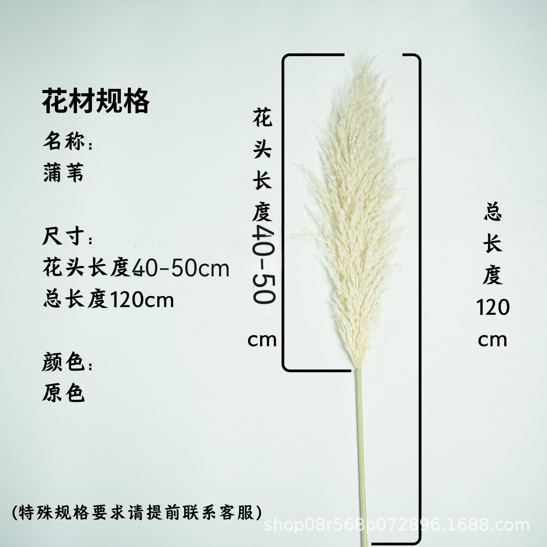 꽃 머리 40-약 50cm