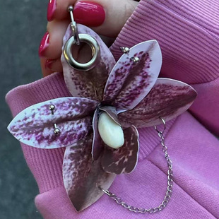 ���m�����b�Ʒ��� ���滨���̑��˶Y�� �羳���l