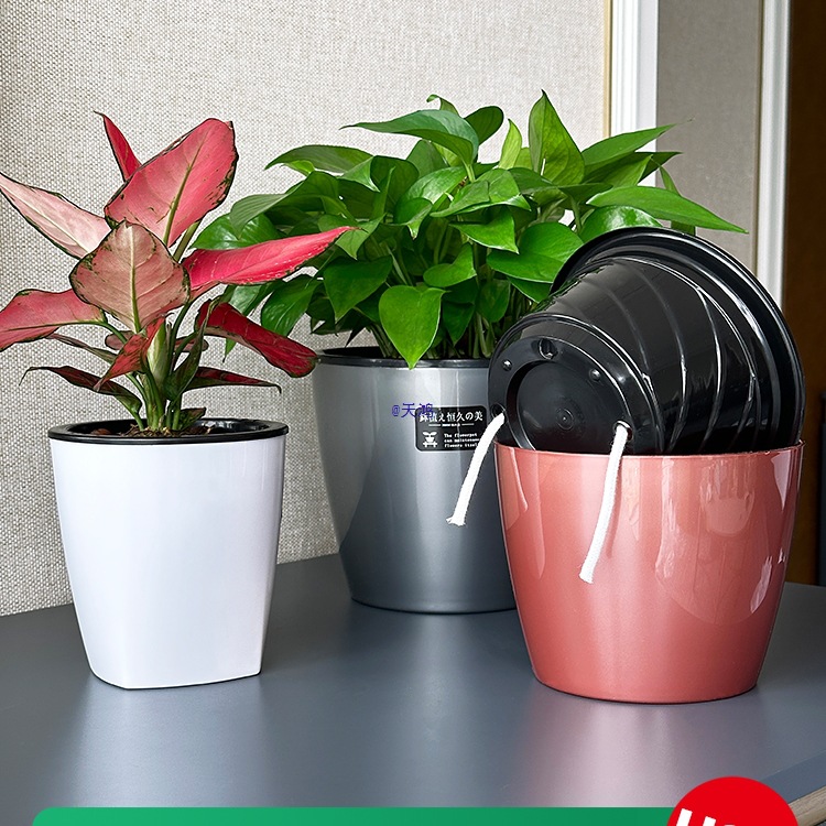 网红小花盆丨树脂级感水培漂亮的自吸水懒人花盆家用塑料