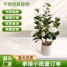 �羳����軨��ɽ�軨�����͏d�b[������õ�廨�͏d�Gֲ