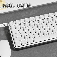 129キー側刻透光キーキャップ原工場高熱昇華十字穴空白素材小セット