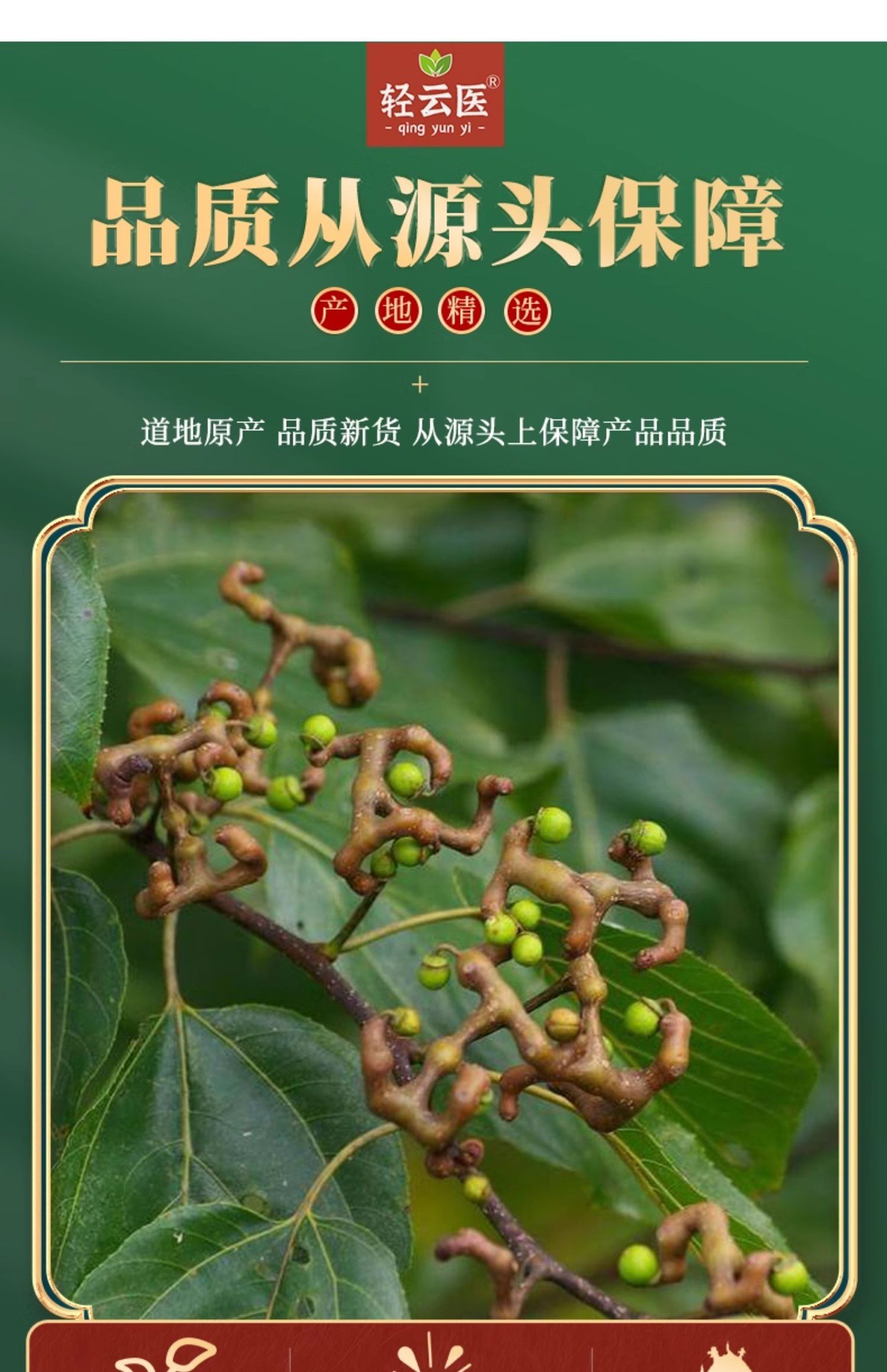 枳椇子中药材500g北枳具子茶拐枣子籽葛根枳椇子泡茶水酒枳椇子粉-阿里巴巴