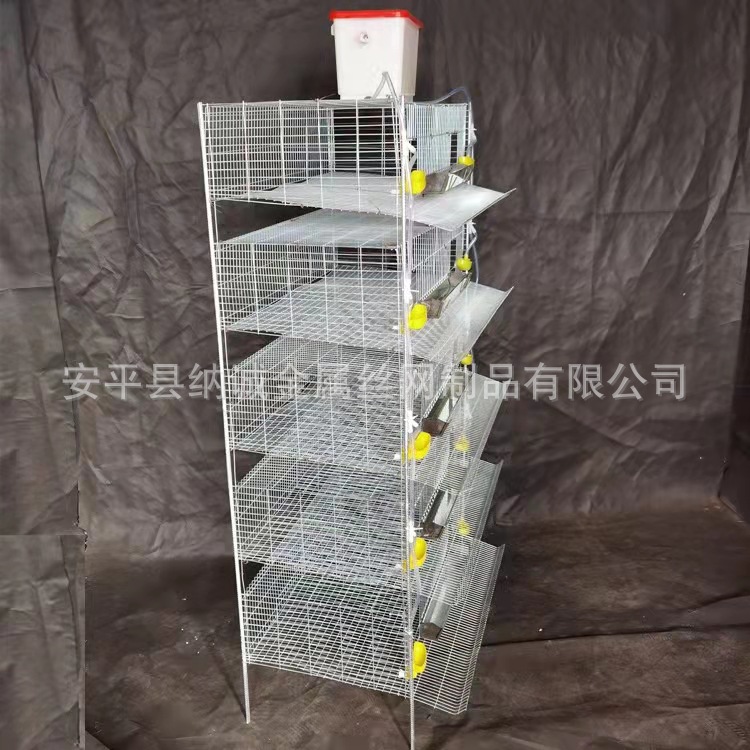 养殖加高鹌鹑鹧鸪笼子  立体式鹧鸪自动清粪镀锌笼 自动接蛋笼