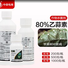 �\��80%�������O���~�߲����������������rș�r�Ú�����