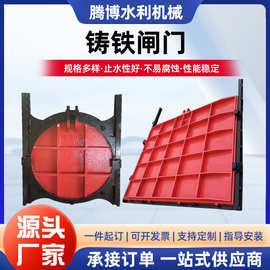 铸铁闸门水库开关机闸一体式渠道镶铜闸门水渠方行厂家DN