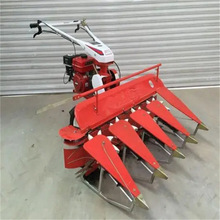 ����ʽ���ݽն���C ������ޣ���ո�C ���Ϳ�С�����C