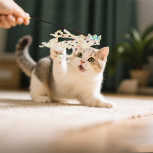 ������Ʒ؈������ǹ�ɫ푼���������ʗl����ɳɳ���Ӷ�؈���l