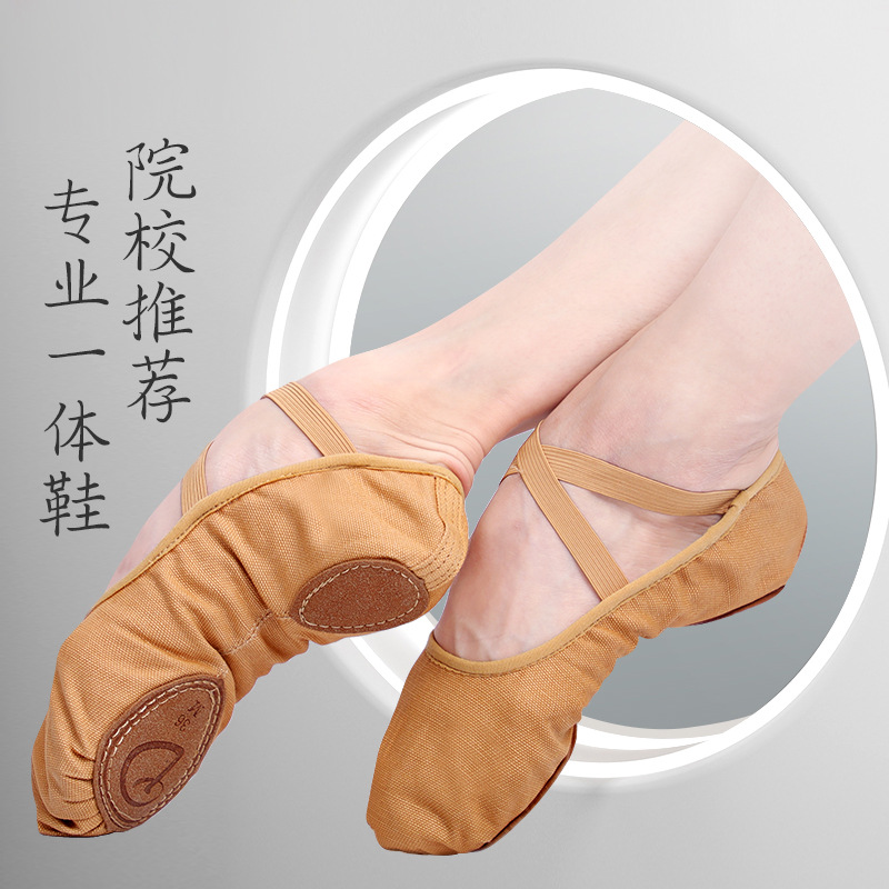 Zapatos de baile para adultos zapatos de baile zapatos de práctica profesional de las mujeres zapatos suaves de ballet niñas de baile étnico zapatos de garra de gato de fondo suave