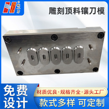 厂家加工定制  预压顶料镶块模 落料模 自动清废模 顶块镶刀模