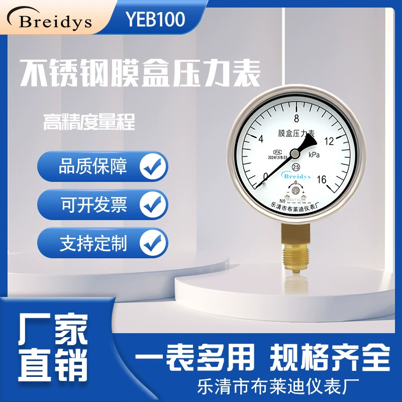Мембранный шкафный манометр из нержавеющей стали YEB100 коррозионностойкий термостойкий высокотемпературный микровозметр с регулировкой нулевого давления газовый счетчик