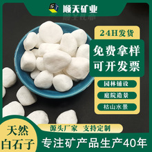 ���F؛���l��Ȼ����ʯ �쾰�b���ˮϴ��ʯ�� ͥԺ��O��ʯ�^