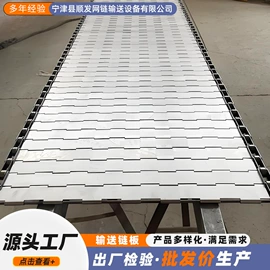 传动链;输送机;网带