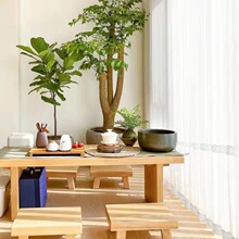 2023��ʽ�p���ǿ��y�Ӽ���͸�ⲻ͸���ٽz���������h���͏d����