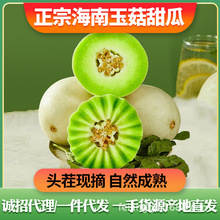 海南玉菇甜瓜蜜瓜3/5斤羊角蜜瓜哈密瓜新鲜水果批发一件代发整箱