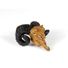 ���x��������֩��ϐ�����쾰��ܶ�Ѩ�ߟᎧɳĮ�b��쾰