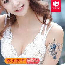 GZ��֭�������������ݱ���֭��ˮ����������ѷ����ͨ�羳������