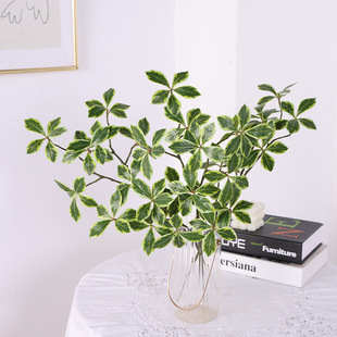 ����Gֲ �d���~ ��c�Ƶ�廨���~ܛ�b��̼ҾӲ����[���٘��~