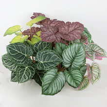 �����̖9�^�Gֲ�\������ˮ�����T�Gֲ�Ҿӻ�c�쾰�廨����ֲ��