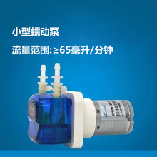 12V 24V 100ml/min 65ml/min 늙CxСӱõ