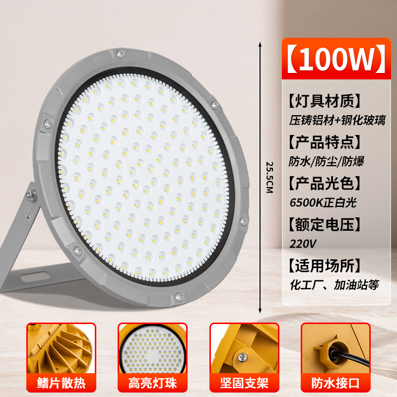 [그레이 라운드 EX 방폭등] 100W