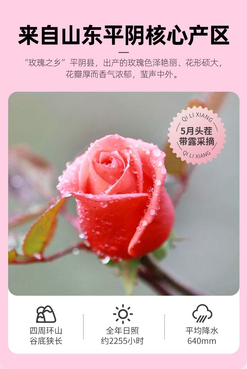 Dried Rose Bud Tea Double Petal Large Flower Buds 50g Loose Herbal Tea for Daily Brewing quality and texture