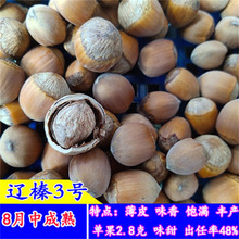 �Լ������Ŀ������������t����Ә��� ���س��۱����t����Ә���