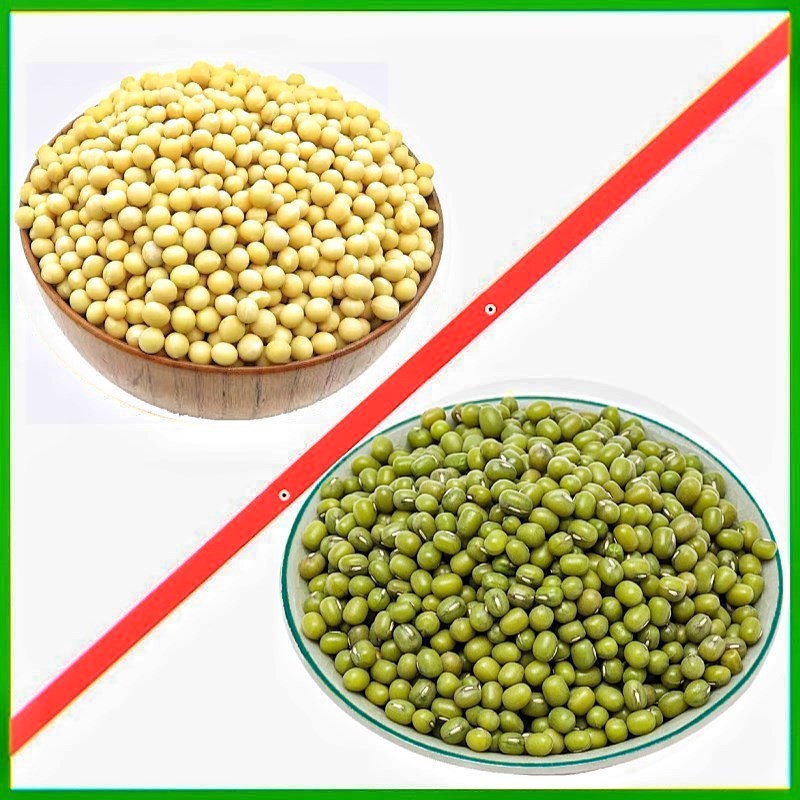 ll发豆芽绿豆生豆芽长绿豆芽小粒中粒水培发芽豆可食|undefined