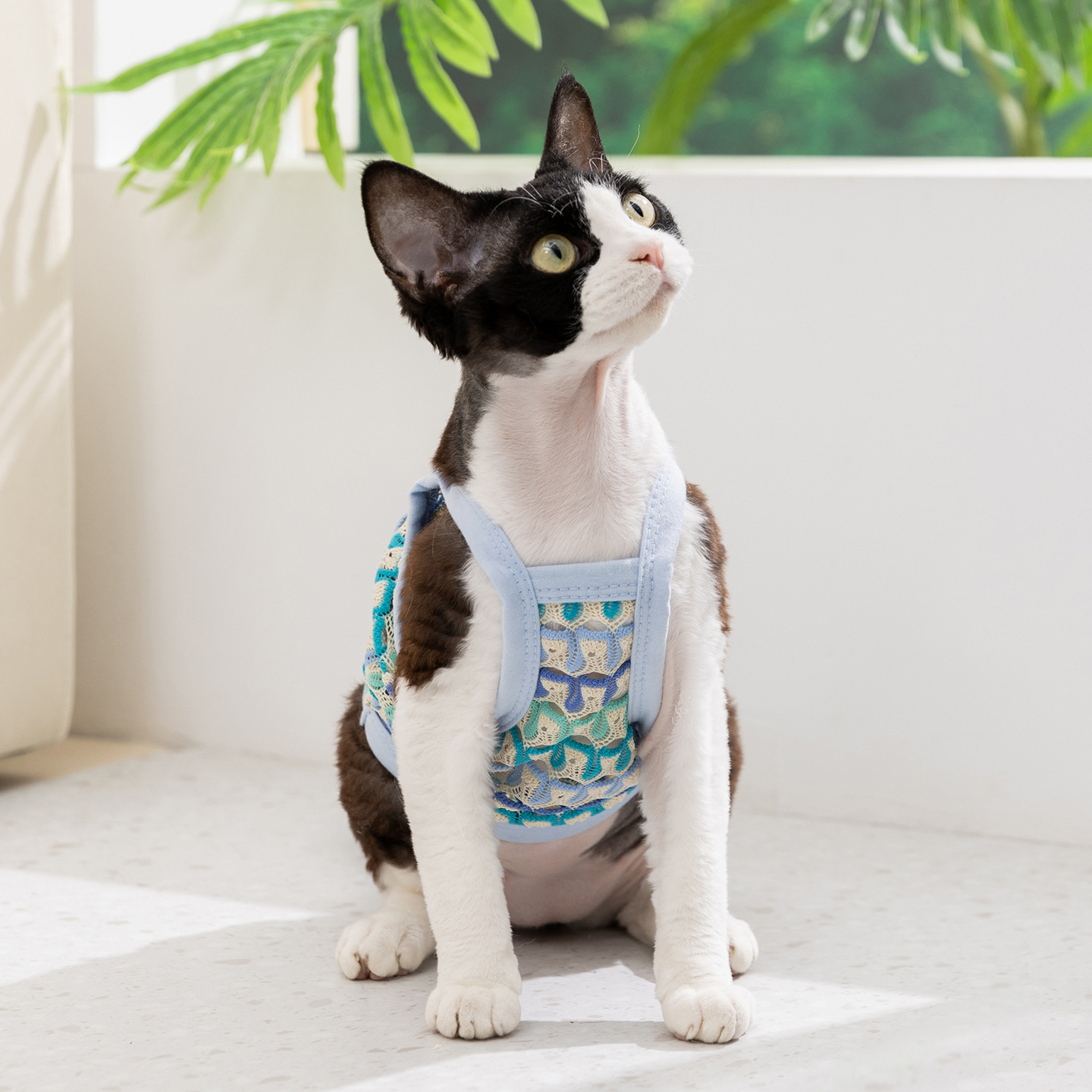 26 primavera y verano ropa de mascotas que osos huecos de flores eslingas perros chalecos respirables ropa de gato ropa de perro