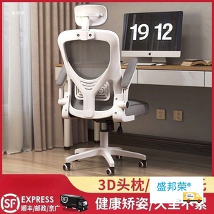 Factory Direct Sales Computer Desk Chair E-Sports Seat Office Chair Staff Dormitory Study Chair Chair Sedentary Home Human Body