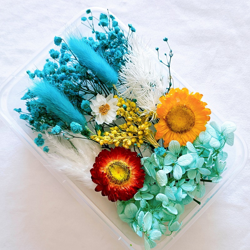 微信图片_202212181049301