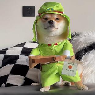 秋天八嘎装宠物搞笑搞怪狗狗猫咪衣服可爱巴哥比熊泰迪柴犬-阿里巴巴
