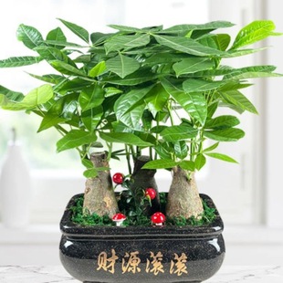 �lؔ��������ؔ�҃ȿ͏d��Gֲǰ̨�_�I�k���lؔ��С��������Gֲ