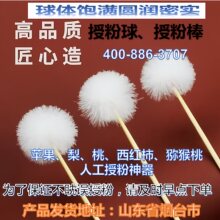 ���\���u�ҡ��˹��ڷۘ������ڷ����ڷ۰��ڷ۹P�O�������߲�