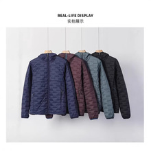 �羳����Pataƽ���嶬�����b���Ᵽů�Bñ�޷�