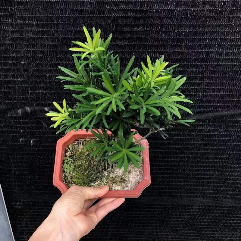 微信图片_20220322114518