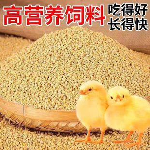 �u����r�u������u�_�����u���Zͨ������u�Z��С�w�����uȫ�r��