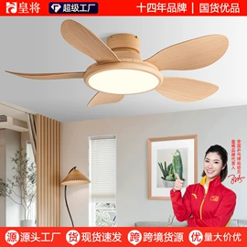 风扇灯;电风扇;吊扇