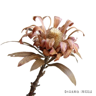 狂想者新品【卷发公主】ins北欧风家居装饰插花花束烫头公主花